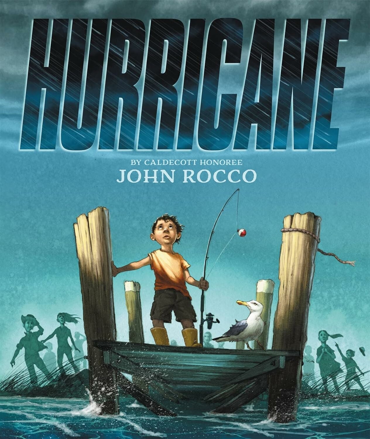 Book cover: Hurricane
