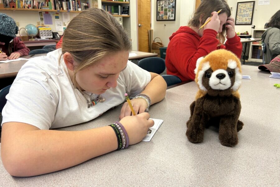 Student focused on writing in class while a small red panda plush sits on the desk during a school activity.