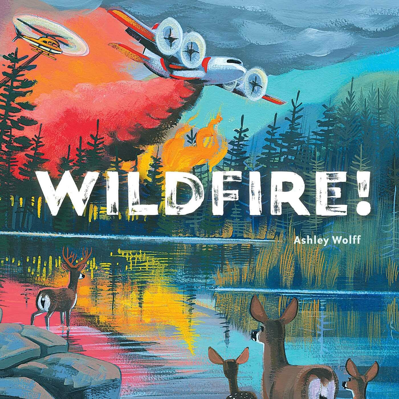 Book cover: Wildfire!