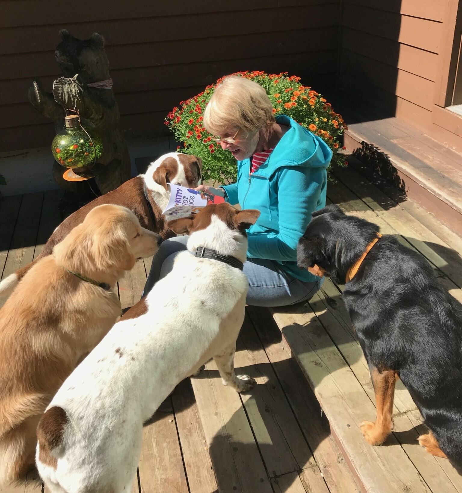 A woman sits on a porch surrounded by four dogs, reading a dog treat bag.